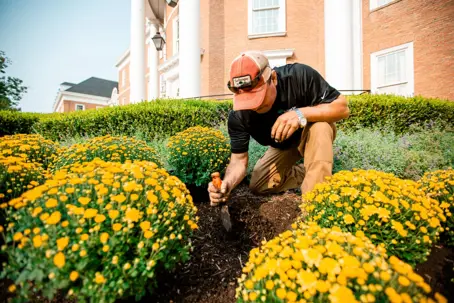 Crew Planting