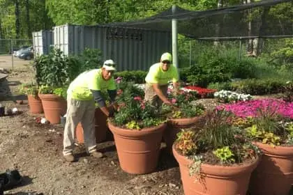 Men planting