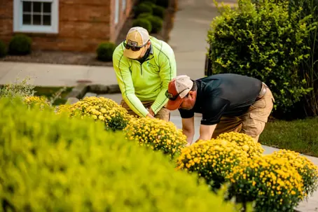 Men working on landscape