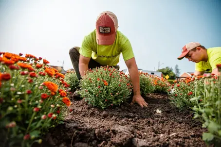 Men working on landscape