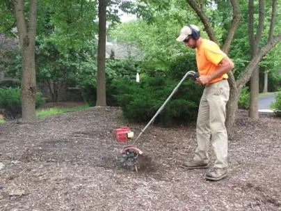 mulch cultivation