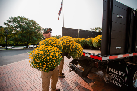 A man unloads vibrant yellow chrysanthemum plants from a black truck. The truck's side is marked with "VALLEY Ford TRUCK."