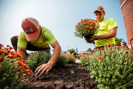 Two landscapers in neon shirts plant orange mums in a garden bed. One kneels to plant while the other holds a potted mum.