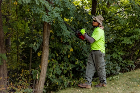 A man in a bright yellow-green shirt, hat, and work gloves uses an electric hedge trimmer to prune a leafy tree. He stands outdoors surrounded by dense green foliage.