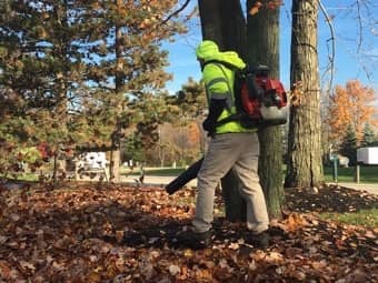 A worker in a high-visibility vest uses a backpack leaf blower to clear a large pile of autumn leaves from the ground.