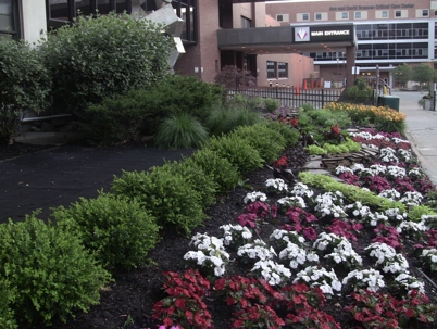 A well-maintained landscaped area with green shrubs and colorful flowers leads to a building's "MAIN ENTRANCE."