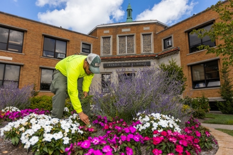 A groundskeeper cultivates a colorful flower bed outside "PRESIDENT HALL." The vibrant pink, white, and purple flowers enhance the brick building's entrance under a bright sky.