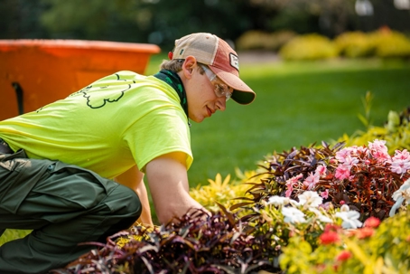 A landscape professional, wearing a yellow shirt, carefully tends to a vibrant flower bed, demonstrating detailed commercial landscape maintenance.