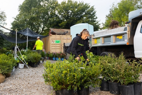 Two workers tend to potted plants at an outdoor nursery.