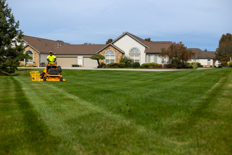 A professional mows a large, perfectly striped lawn in front of suburban homes.