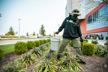 A person in a hat, sunglasses, and green hoodie tends to a garden bed with purple flowers and green shrubs outside a modern building, holding a white bucket.