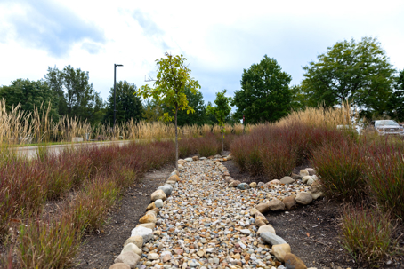 A winding dry creek bed path made of pebbles and stones leads through a planted area of grasses and shrubs under a cloudy sky.