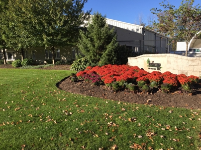 Outdoor view of the Henley building entrance, featuring a stone sign, green lawn, and vibrant red mums.