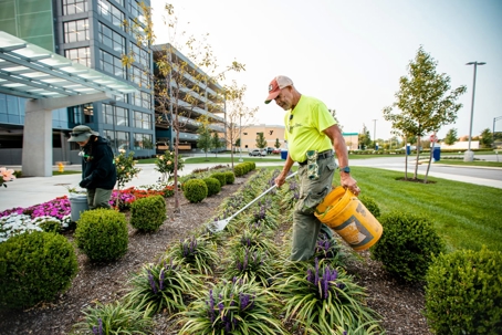 Two landscapers tend a garden bed outside a modern building