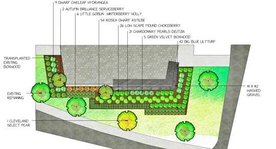 An overhead landscape design plan featuring plantings and a patio