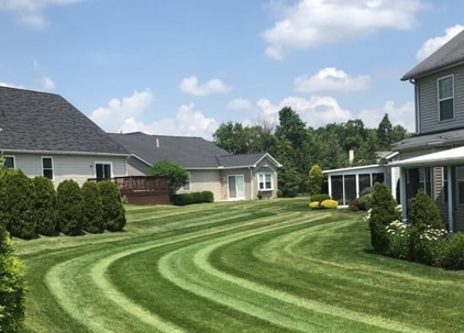 A perfectly mowed suburban lawn features dramatic curved stripes.