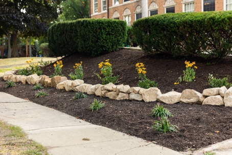 A newly landscaped garden bed