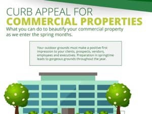 An infographic header features a modern office building illustration flanked by green trees.