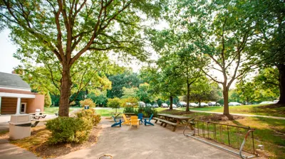 Commercial Landscaping Photo