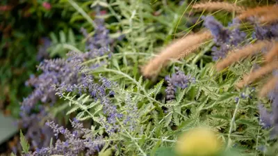 Commercial Landscaping Photo