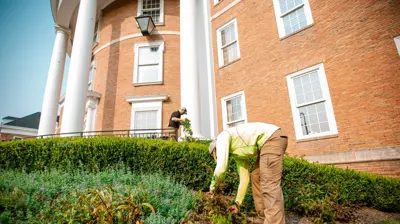Commercial Landscaping Photo