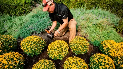 Commercial Landscaping Photo