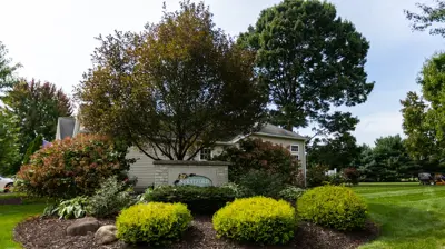 Condo and HOA Landscaping Photo