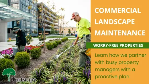 Commercial Landscape Thumb