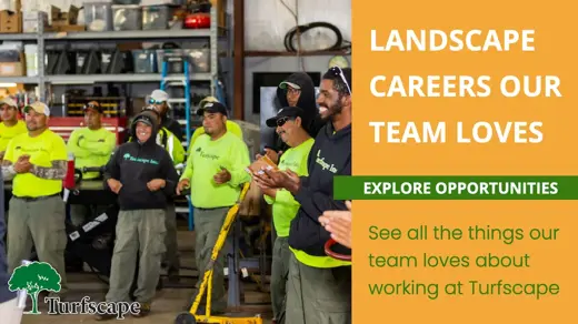 careers thumbnail