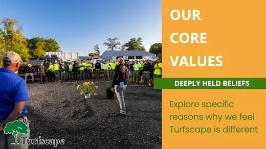 values thumbnail