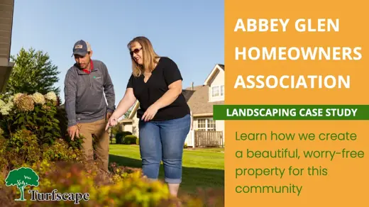 Abbey thumbnail