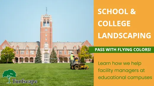 school thumbnail