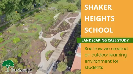 shaker thumbnail