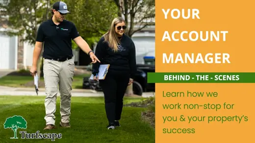 account manger thumbnail