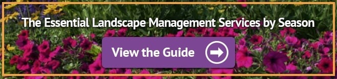 Essential Landscape Management Services by Season
