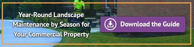 year-round landscape maintenance by season