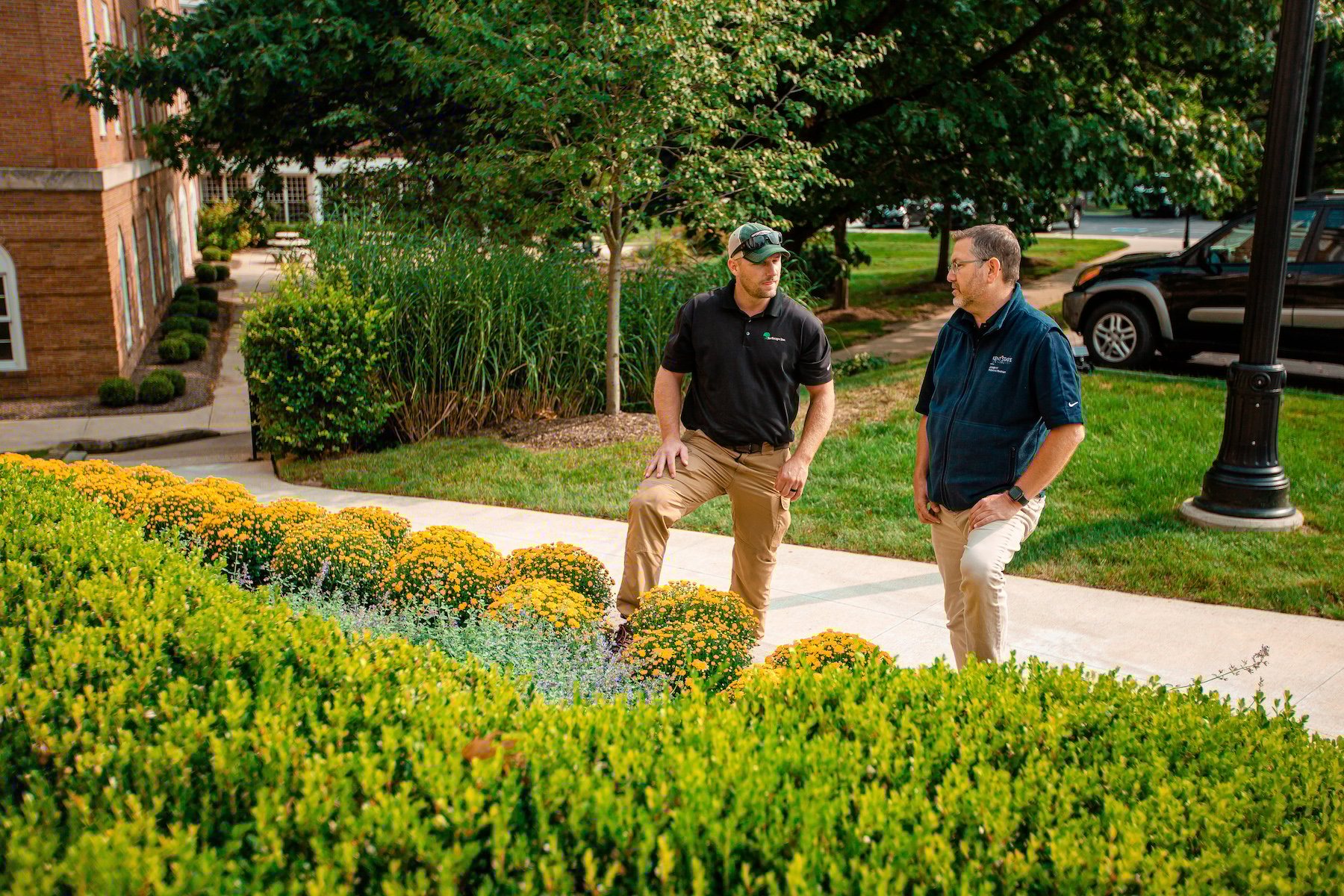 Commercial Landscape Company Covina thumbnail