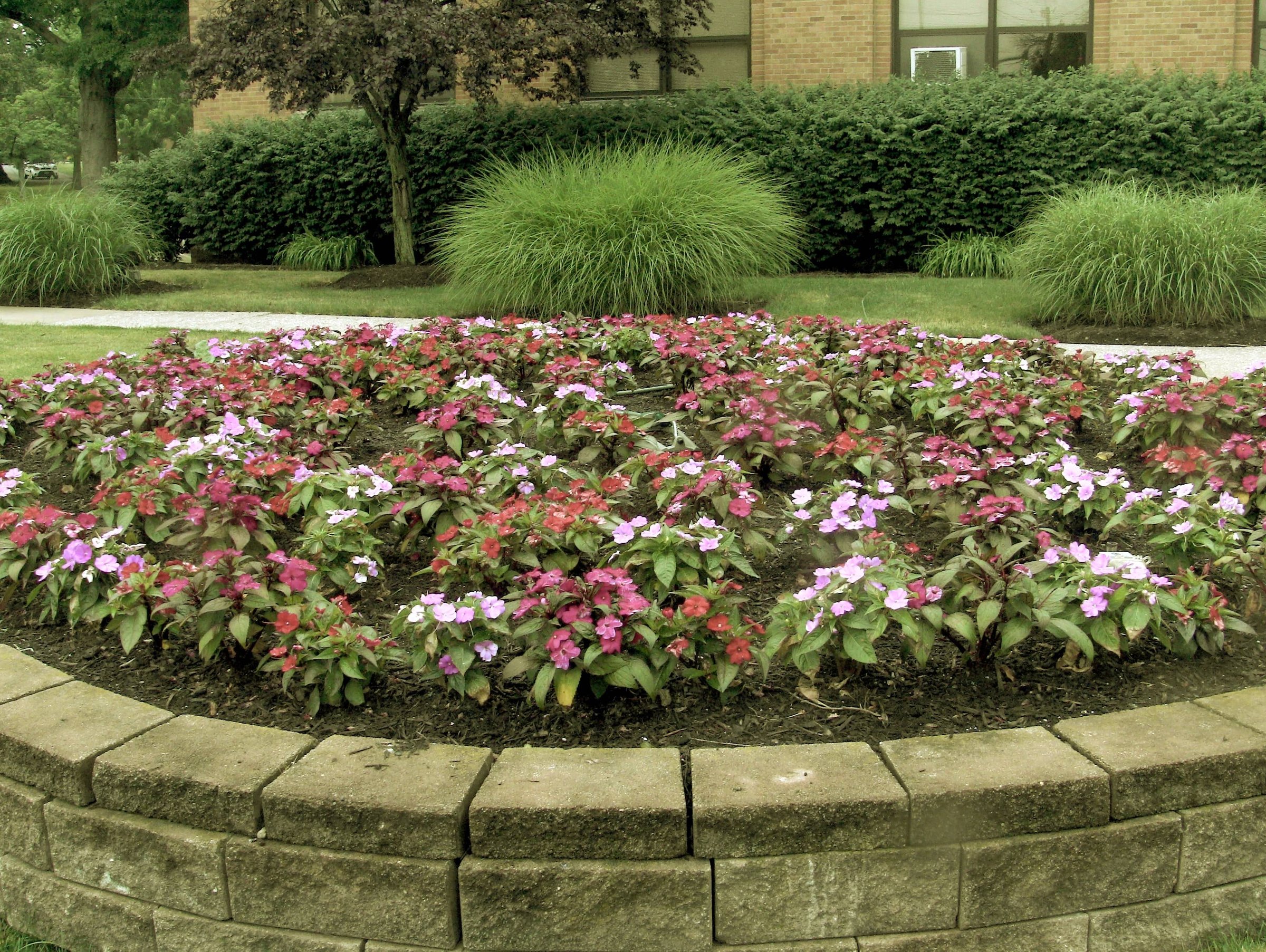 6 Amazing Tips For Annual Plant Displays on Commercial Properties