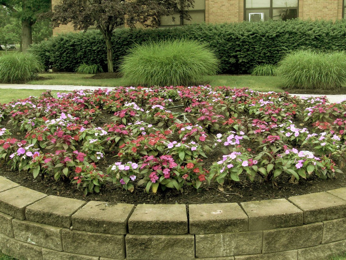 annuals installed at commercial property