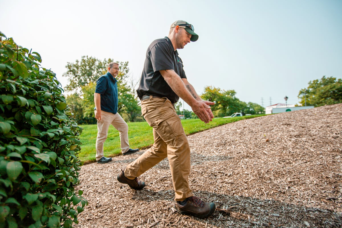 managers look at  landscape bed with mulch