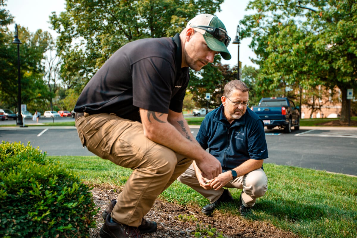 Commercial Landscaping Account Manager Customer talking Planting