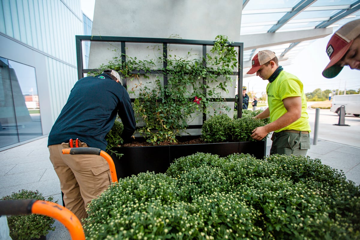 Commercial Landscaping Crew Hospital Container Planting Planters 5