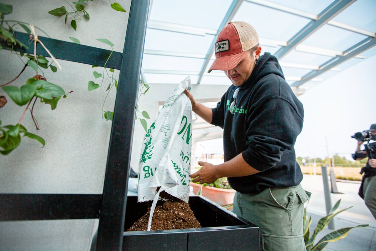 Commercial Landscaping Crew Hospital Container Planting Planters