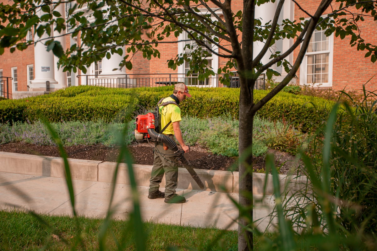 Commercial Landscaping Crew Leaf Blower shrubs walkway sidewalk