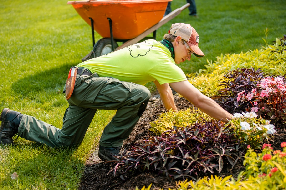 landscape maintenance team mulches flower bed