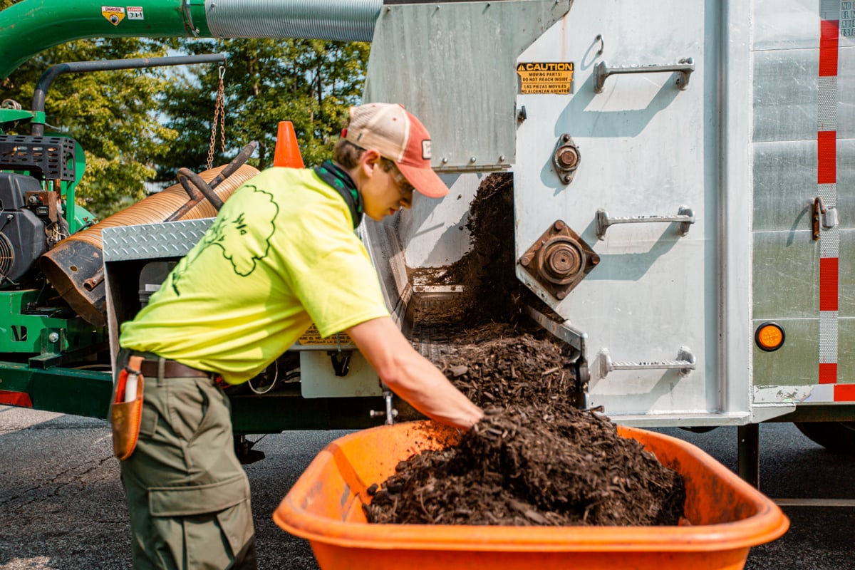 Commercial Landscaping Crew Maintenance Mulch Mulching 3