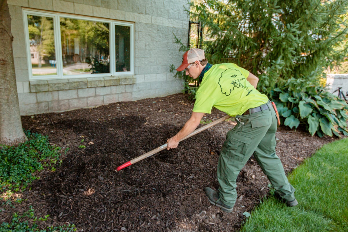 landscape maintenance team install mulch