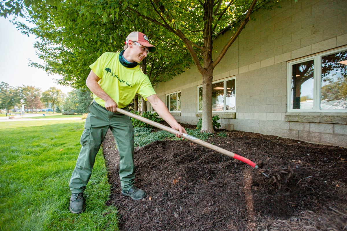 commercial landscape maintenance team rakes mulch into landscape beds