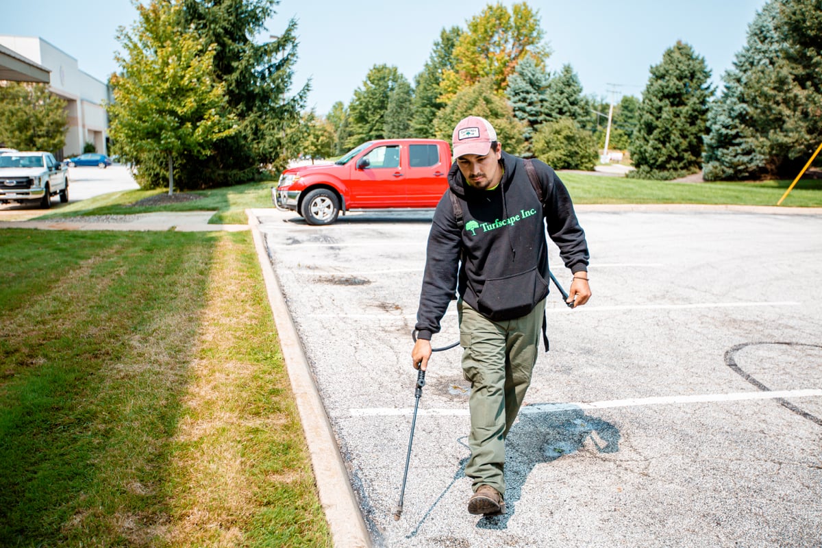 Commercial Landscaping Crew Maintenance Spraying Weeds Lawn Care