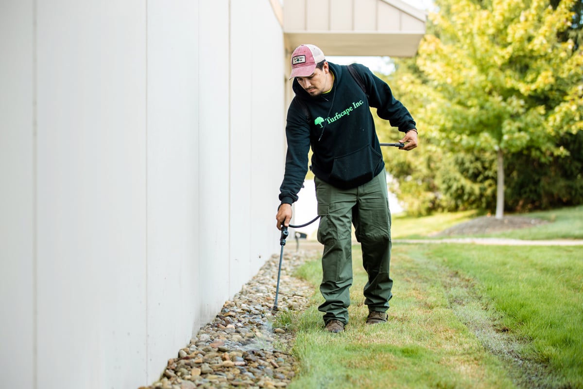 Weed control spraying at school landscape